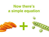 Simple Equation